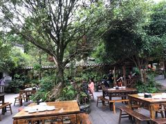 -青城甲(青城山店)