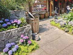 -田园印象·成都土菜院子(华阳店)