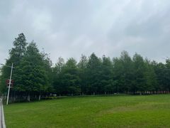 -苏州东太湖生态园