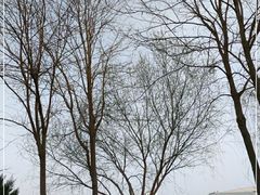 -党河风情线国家水利风景区