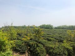 -南京市江宁方山