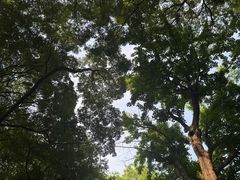 -绮园景区