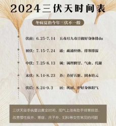 -帝迈造型