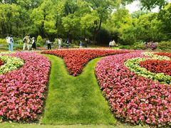 -上海共青森林公园