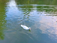 -广州锦绣香江度假别墅