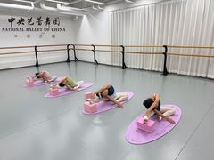 -中央芭蕾舞团·中芭艺蕾(酒仙桥明星校区)