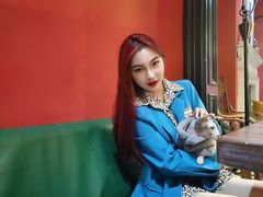 -猫色咖啡·猫咖