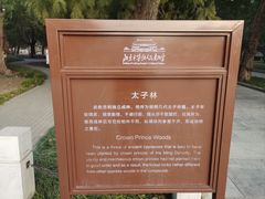 -北京市劳动人民文化宫(太庙)