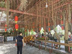 -万兴启丰椰子文化园餐厅