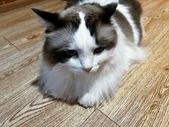 -白兔子密室(长寿路店)
