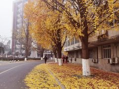 -四川大学(望江校区)