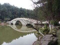 -铁山坪森林公园