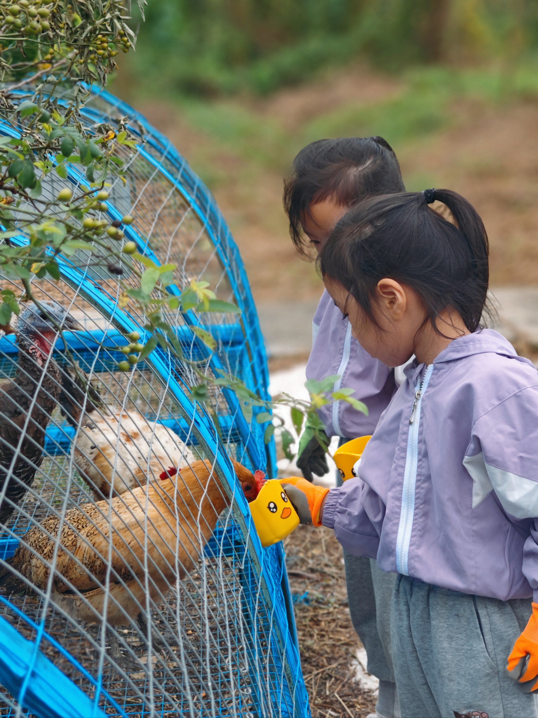 七都西高速口的大牛生态亲子农场儿童乐园