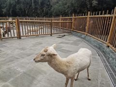 -金沙遗址博物馆