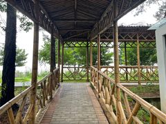 -竹上云想餐厅民宿