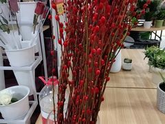 -万达广场(东营西城店)