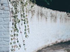 -上海方塔园