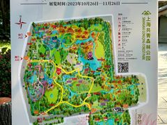 -上海共青森林公园