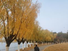 -天鹅湖体育公园