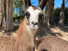 -鄂尔多斯野生动物园