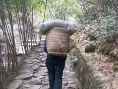 -宁波五龙潭景区