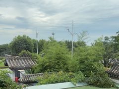 -慢丽江·云南野生菌土鸡锅(付家庄店)