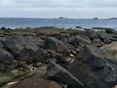 -马銮湾景区