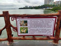 -霞山观海长廊