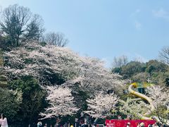 -杭州少年儿童公园