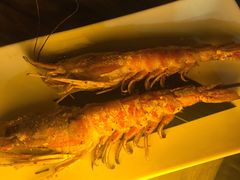 -LENBACH兰巴赫西餐啤酒坊(大连东港店)
