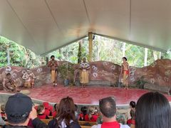 -热带雨林自然公园