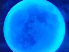 -天津梵高星空艺术馆(天河城旗舰店)