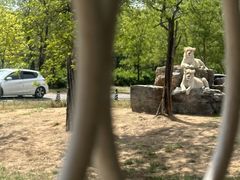 -秦皇岛野生动物园
