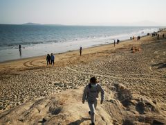 -黄金海岸环岛路