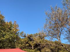 -北京西山国家森林公园