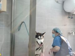 -宠福鑫康馨动物医院·骨科·眼科