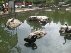 -昆明动物园