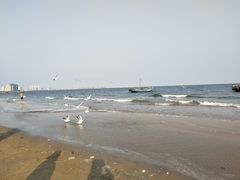 -阿顾西餐·牛排披萨(北戴河店)