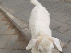 -北京鹿世界主题园