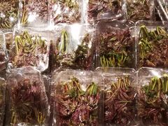 -7fresh七鲜(大族广场店)