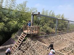 -呀路古热带植物园