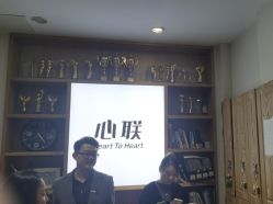 -心联形象设计·流星染