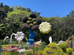 -上海共青森林公园