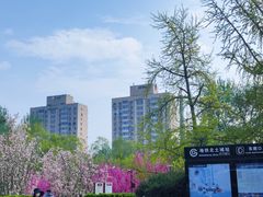 -元大都城垣遗址公园