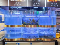 水产区-蛙一刀·麻椒鱼火锅(金仙桥店)