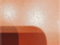 -红荔村肠粉(岗厦店)