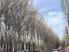-青城公园