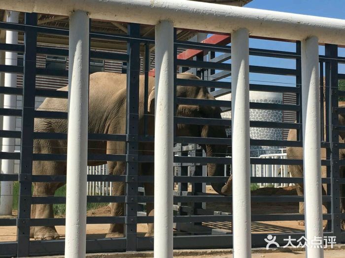 动物园恐龙世界售票处图片