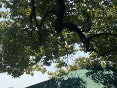 -西湖外事游船(湖滨二公园外事游船码头)