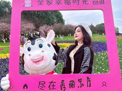 -秀丽东方
